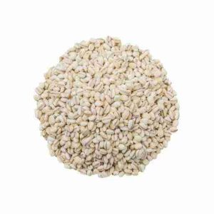 TRIGO MORON SEMILLA (EXO-GRANEL)